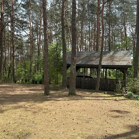 Feriehus Dom W Lesie Dzbadzek