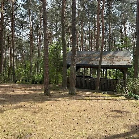 Holiday home Dom W Lesie Dzbadzek